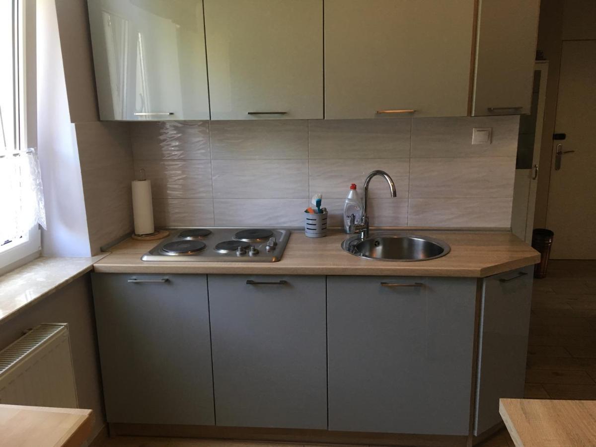 דירות Apartament Olowianka- Danzig מראה חיצוני תמונה